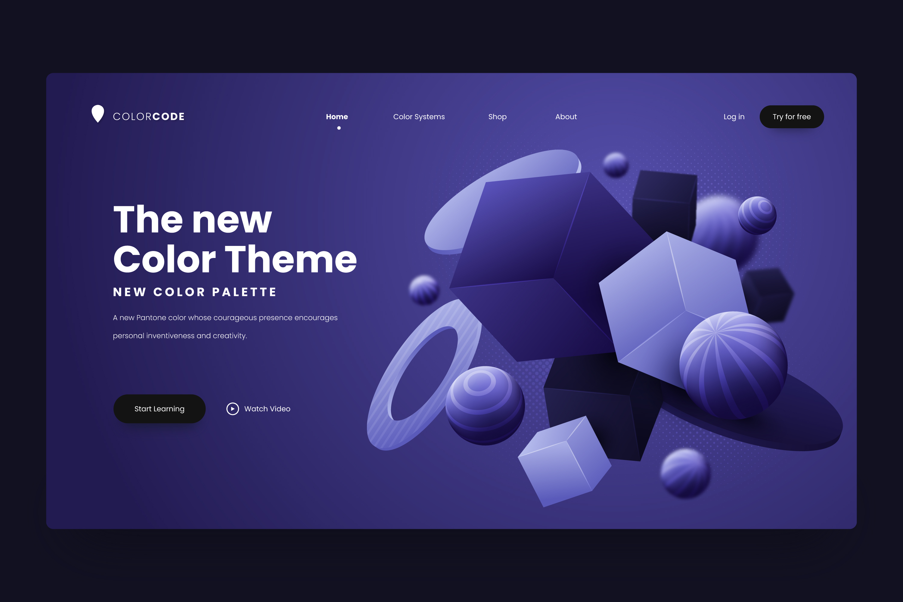 Website Development Project